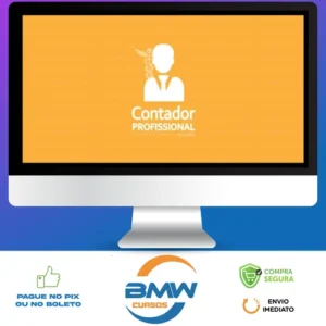 Contador Profissional: Vivendo de Contabilidade - Angélica Flor