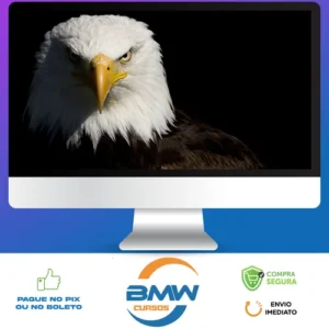 Mentoria Águias Do Tiktok - Samuka