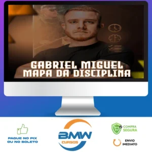 Mapa da Disciplina - Gabriel Miguel