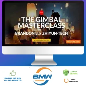The Gimbal Masterclass - Brandon Li [INGLÊS]