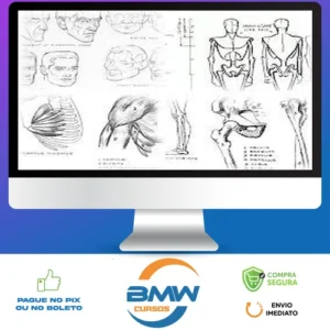 Livros de Desenho - Andrew Loomis