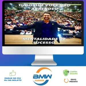 Tudo Que Você Não Aprendeu: Mentalidade de Sucesso - Luis Felipe