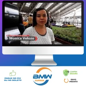 Japonês Básico: Escreva em Japonês - Monica Velozo