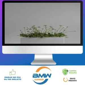 Shading no Blender para Iniciantes - Rafael Vallaperde