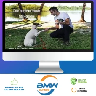 Desafio Cão Obediente - Marcelo Bessa