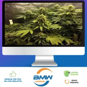 Cultivo Indoor de Plantas Medicinais - Jean Silva
