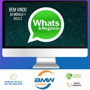 Como Vender Mais Usando o Whatsapp - Luiz Felipe Castro